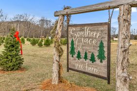 Southern Grace tree Farm