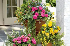 Classic Zinnia Freestanding Container Garden