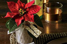 Poinsettia Party Favor