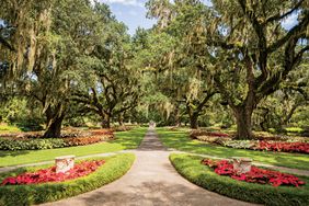 Brookgreen Gardens