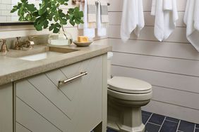 Bathroom sink and toilet with shiplap walls