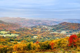 Expansive views from hike in Blackwater Falls State Park in the fall