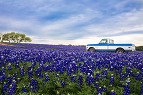 Muleshoe Bend Texas