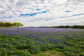 Muleshoe Bend