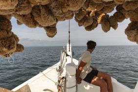 Tarpon Springs sponge diving