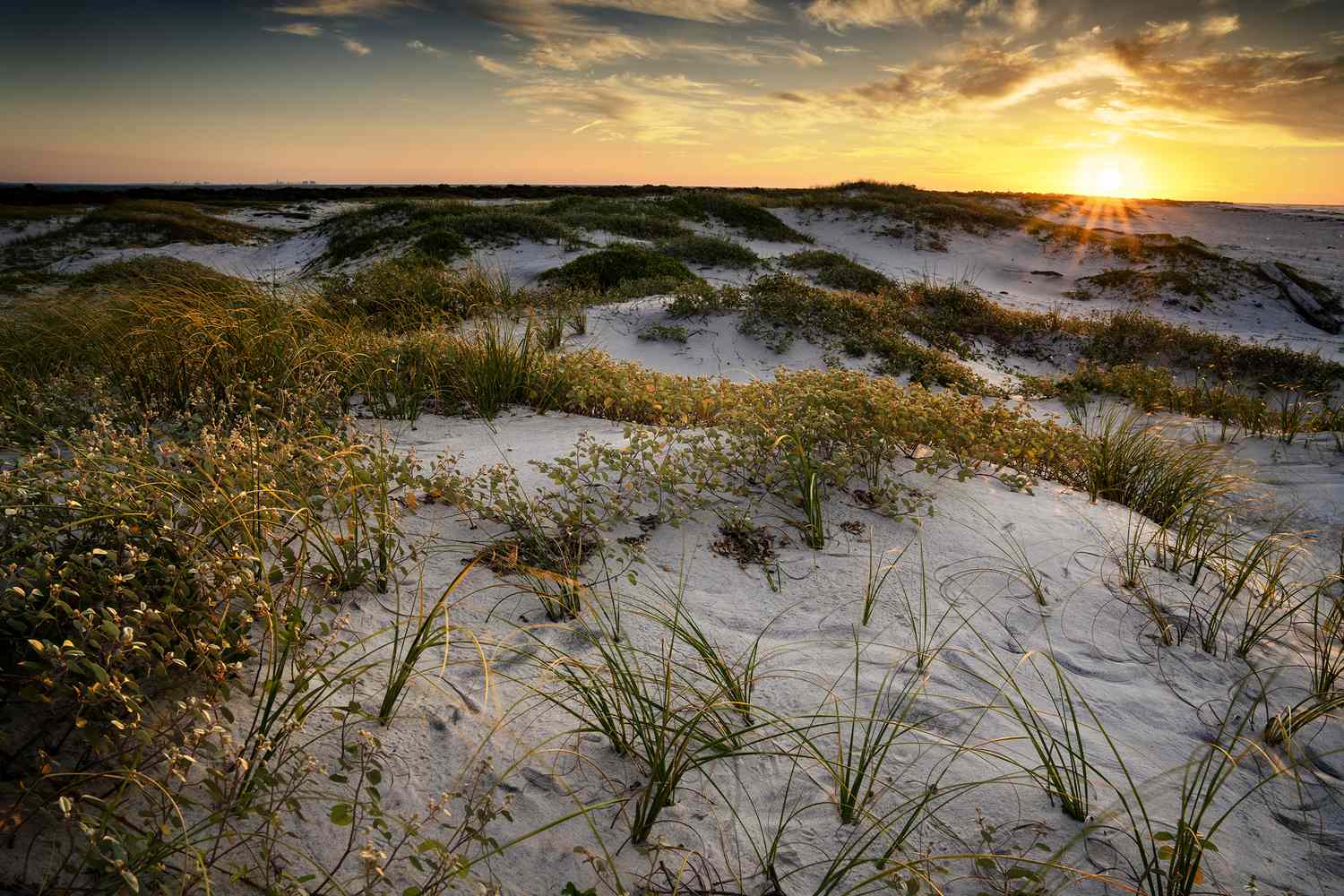 Sunrise on Horn Island