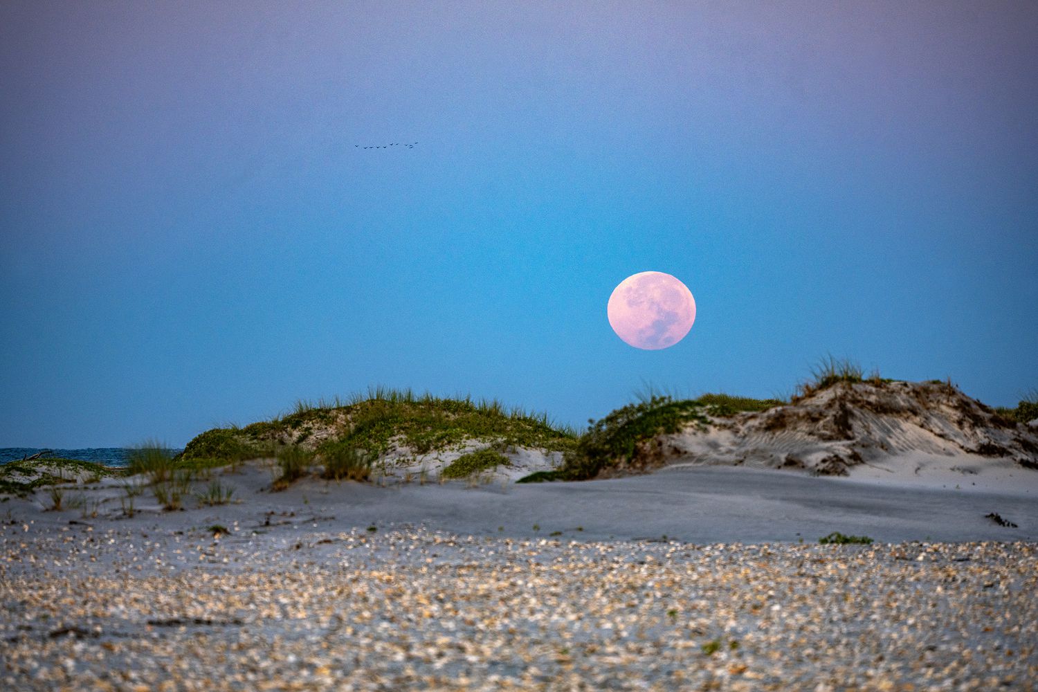 moon rising over Horn island