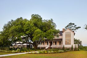 Idea House 2024 exterior oak tree