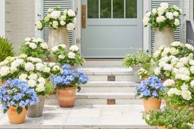 garden containers