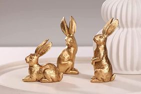 amazon easter bunnies