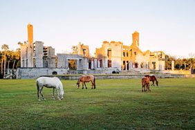 Cumberland Island, Georgia