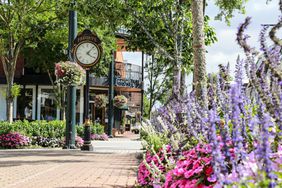 Downtown road with flowers