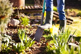 person digging in garden