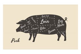 Pork Cuts Map