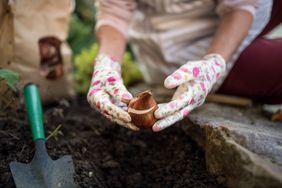 woman planting bulbs