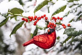 Red Bird Ornament