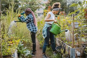 Two Women Watering Garden