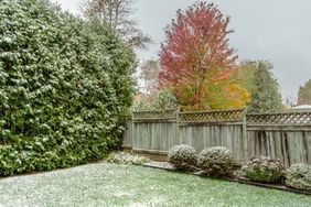 Garden with light Snow