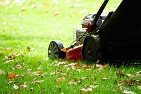 mowing lawn