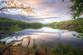 Radnor Lake State Park, Nashville