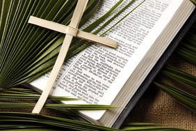 Palm Sunday 