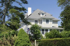 House covered by shrubs and bushes