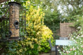 Shallow focus of a filled up wild bird feeder seen in a small enclosed rear garden