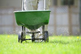 Spring lawn fertilizing