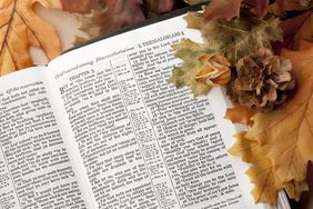 Thanksgiving Bible Verses