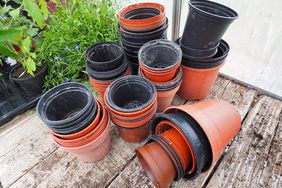 plastic pots 