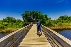 Hugh S. Branyon Backcountry Trail at Gulf State Park