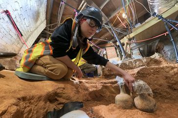 Two bottles full of 18th century cherries were discovered in a storage pit in the cellar.