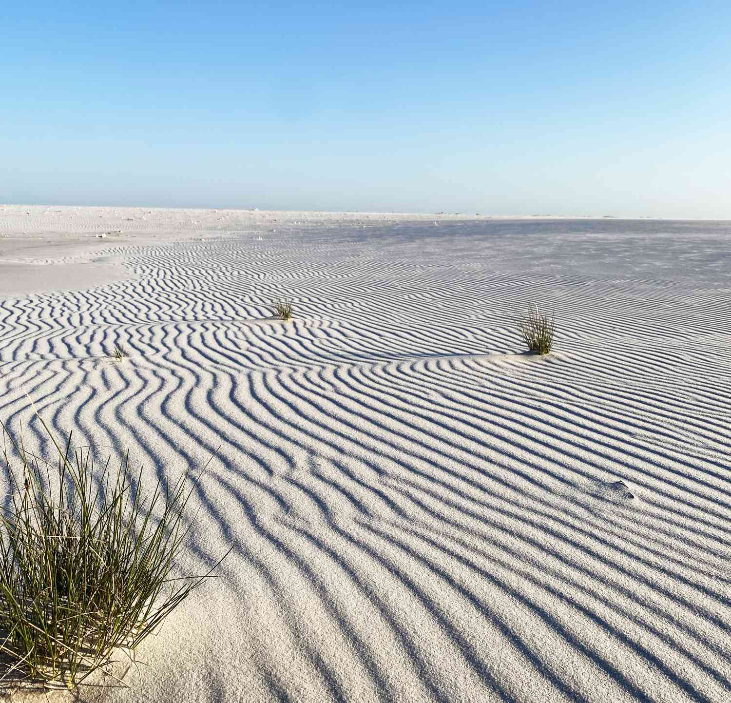 windswept dunes on Horn Island