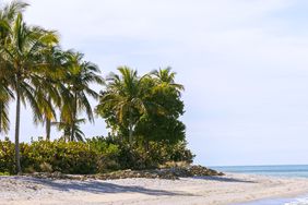 Sanibel, Florida 