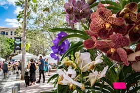 Flowers and crowds walking about the GreenMarket in West Palm Beach