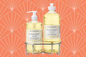 The Williams Sonoma Meyer Lemon Hand Soap & Dish Soap 3-Piece Kitchen Set on a yellow deco patterned background