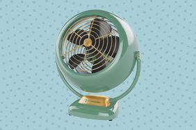 Wayfair Bonus Fan Review tout