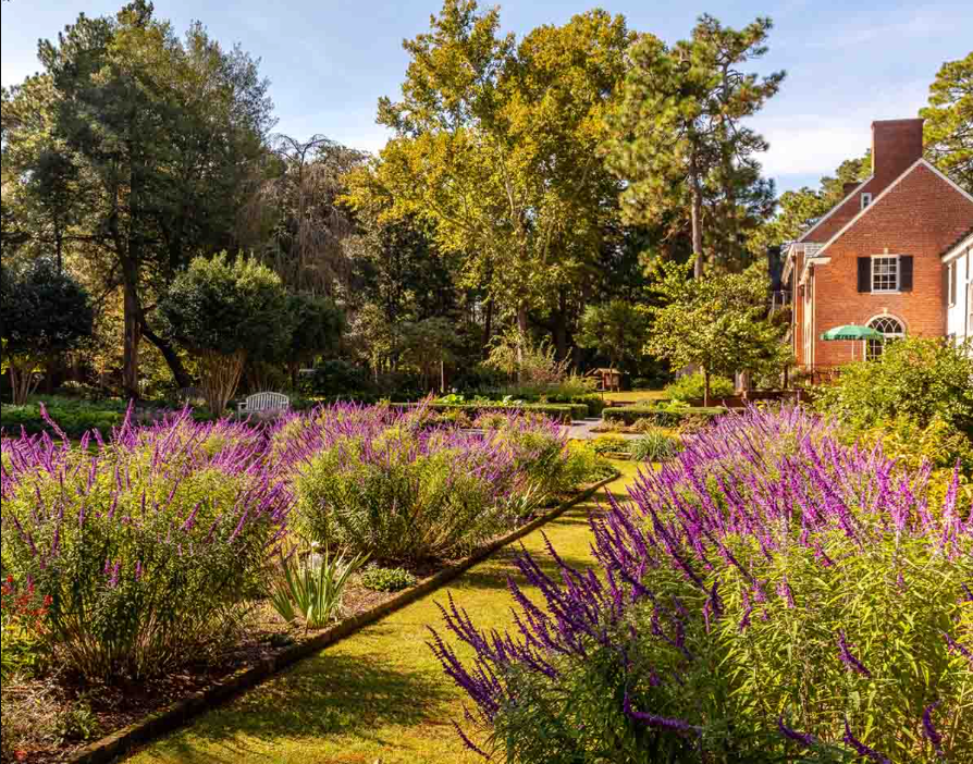 Weymouth Center for the Arts and Humanities grounds